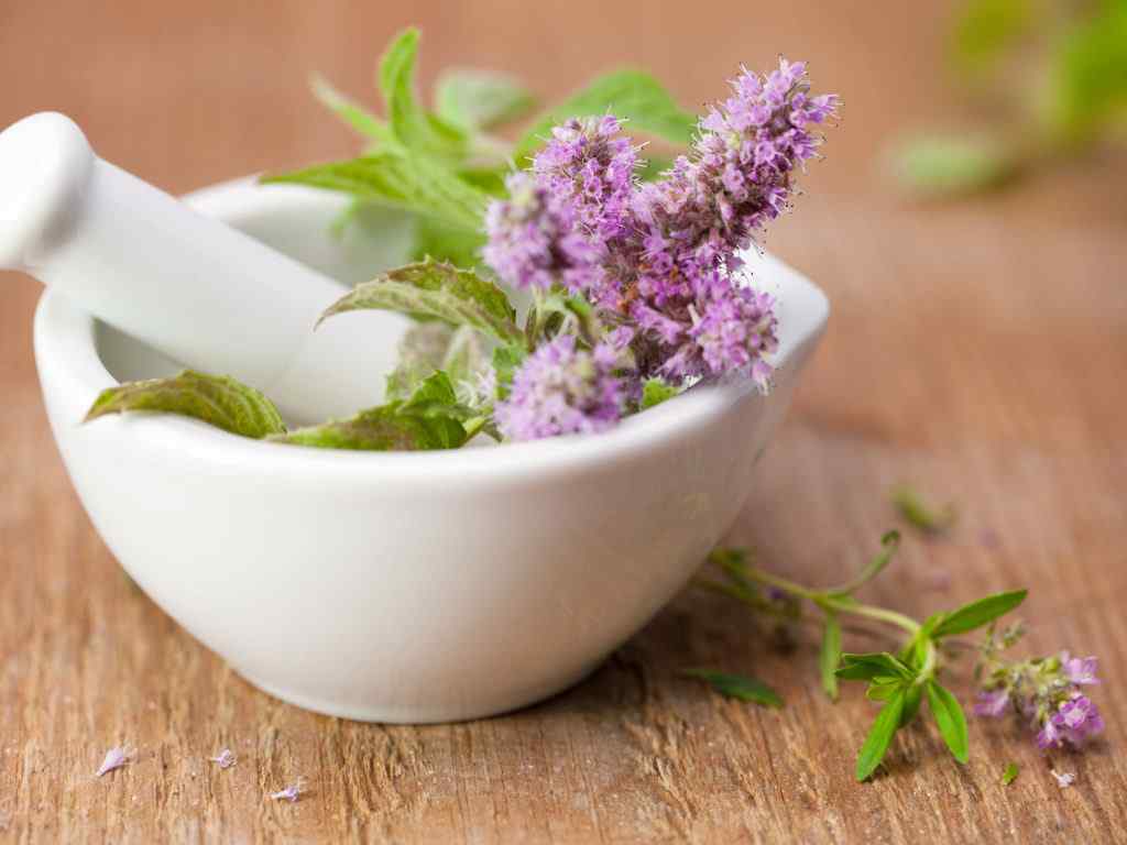 Herbal Anxiety Medicine