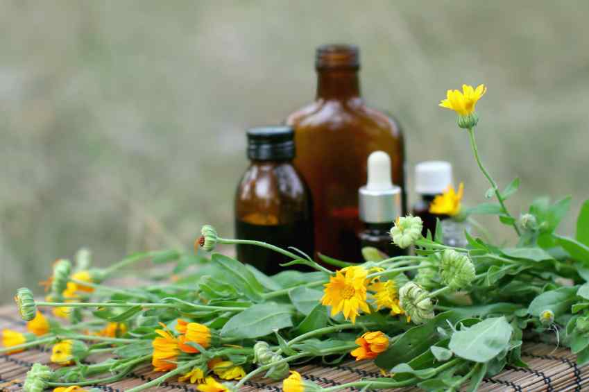 Herbal Ulcer Medicine