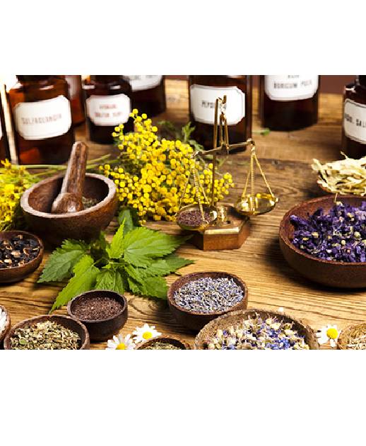 Alternative Medicines In Andhra Pradesh