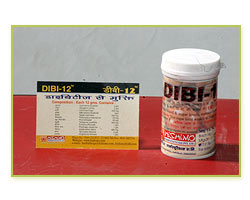 Dibi 12, Diabetes Powder In East Godavari
